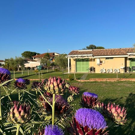 Il Giardino Di Nunzia Villa Principina Terra Ngoại thất bức ảnh