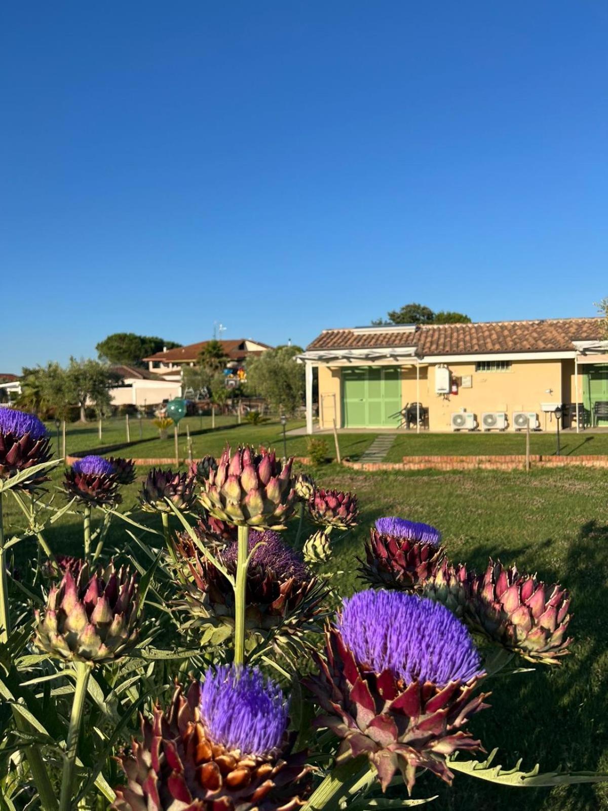 Il Giardino Di Nunzia Villa Principina Terra Ngoại thất bức ảnh